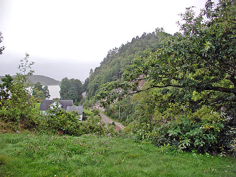 Foto Wiese - 