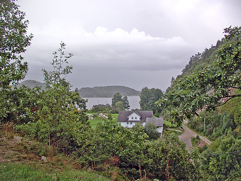 Fotos Wiese | 