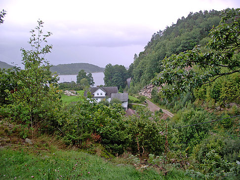 Wiese Fotos